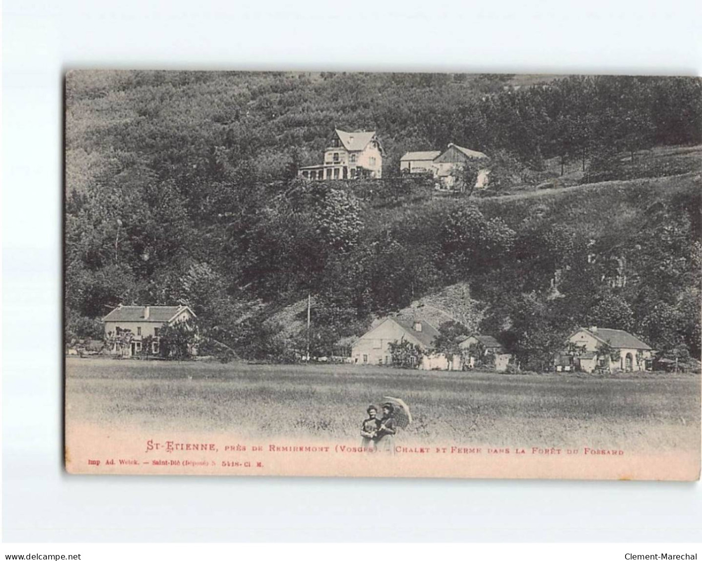 SAINT ETIENNE : Chalet Et Ferme Dans La Forêt Du Fossard - Très Bon état - Saint Etienne De Remiremont