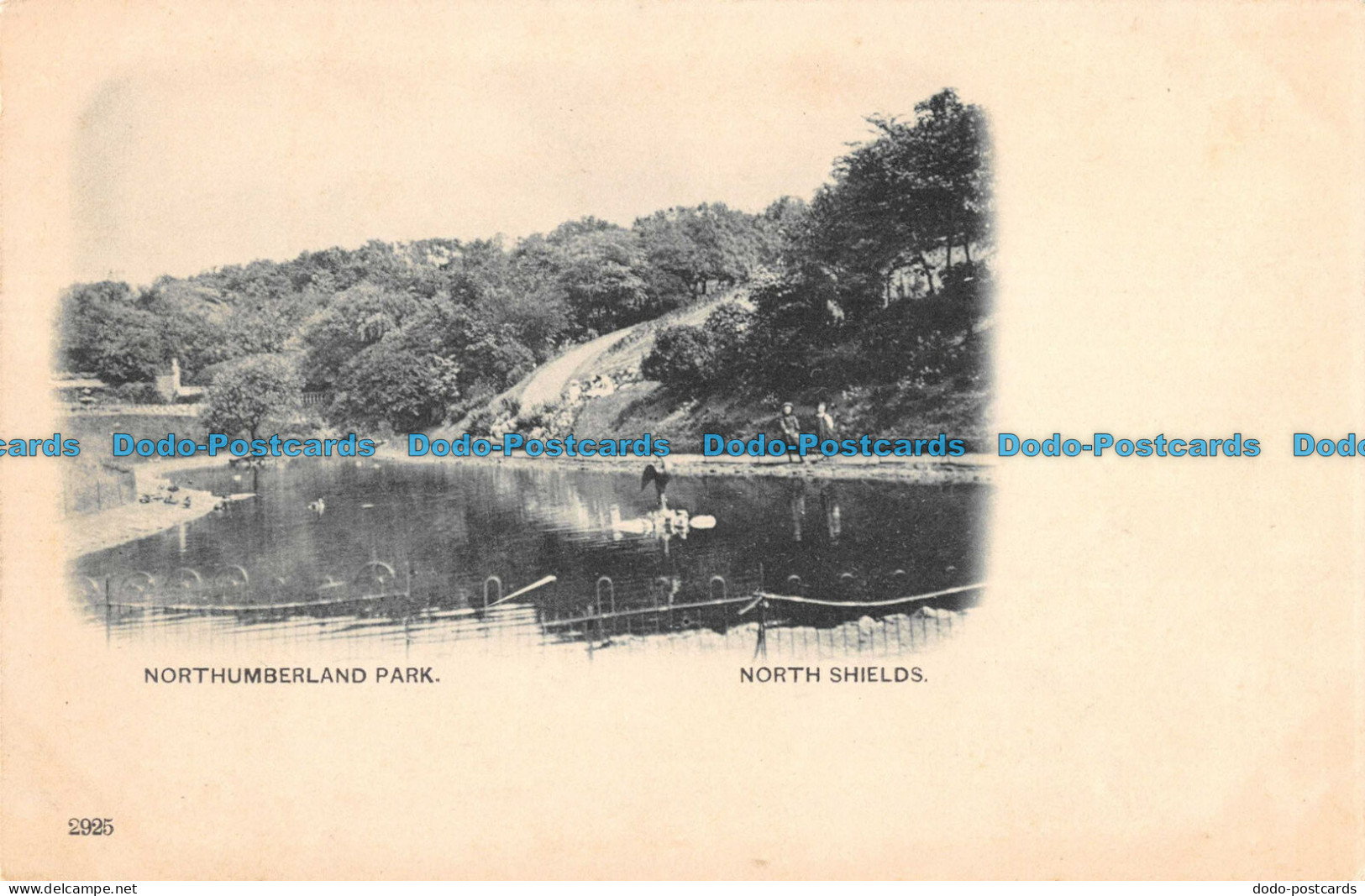 R088598 Northumberland Park. North Shields - Monde