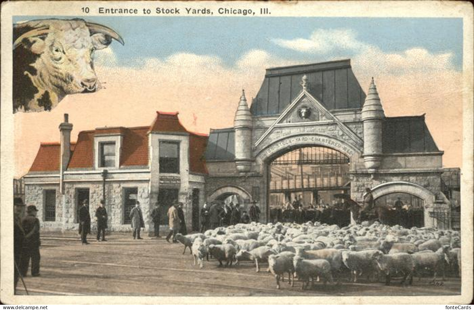 11322188 Chicago_Illinois Entrance To Stock Yards Sheeps - Andere & Zonder Classificatie