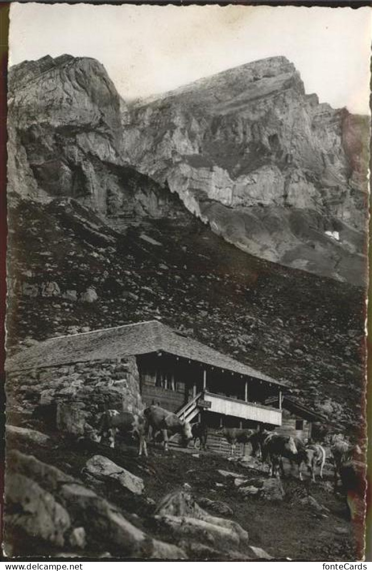 11322100 Kandersteg BE Untere Oeschinenalp Mit Rothorn Kandersteg - Autres & Non Classés