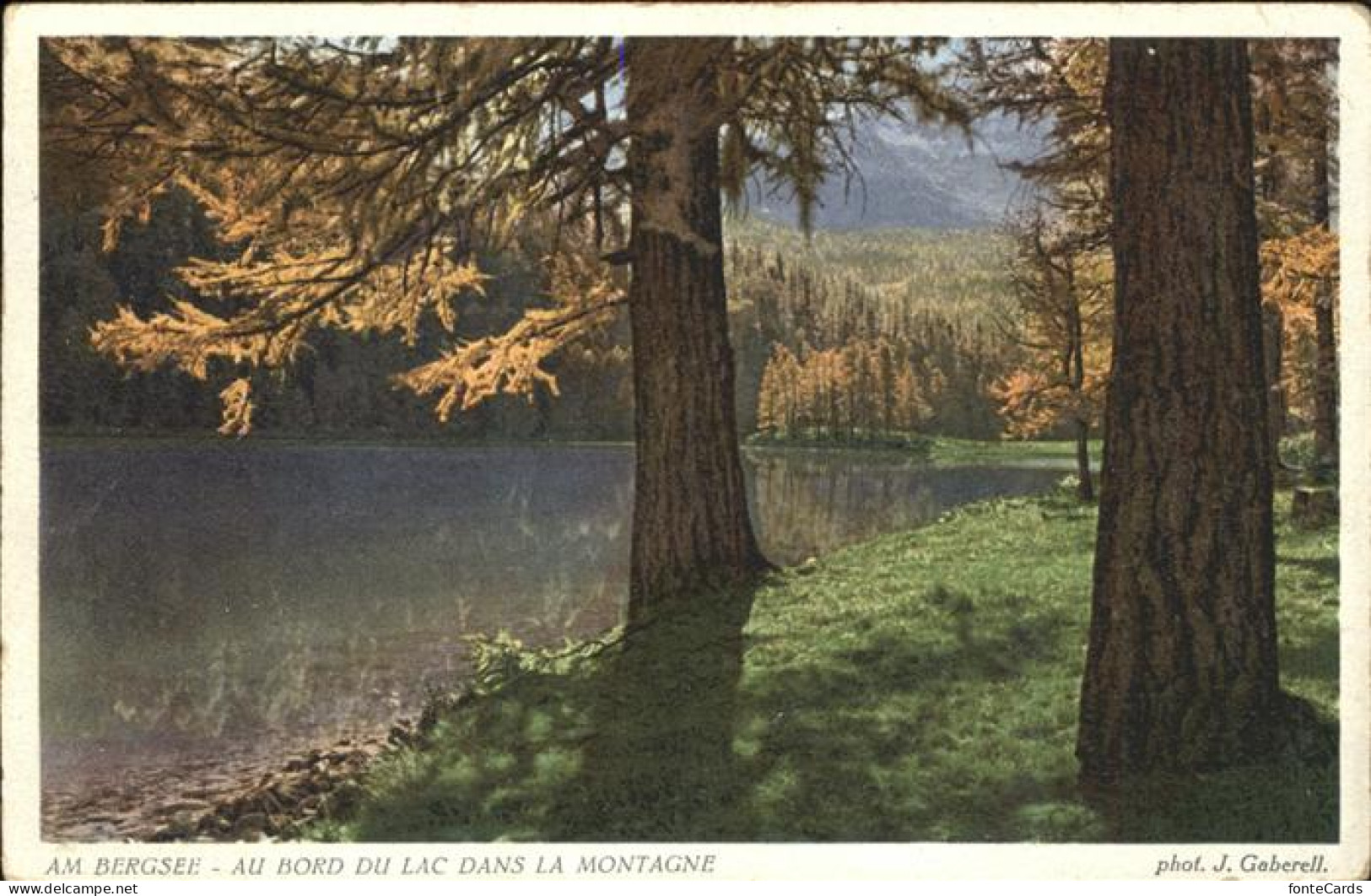 11321495 Zuerich Au Bord Du Lac Dans La Montagne Am Bergsee Zuerich - Altri & Non Classificati