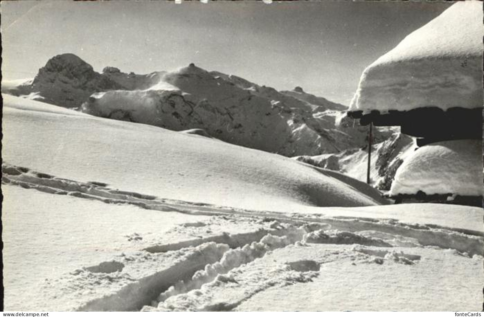 11321494 Rohrbachstein Berner Oberland Hahnenmoos Mit Blick Auf Gletscherhorn Ro - Sonstige & Ohne Zuordnung