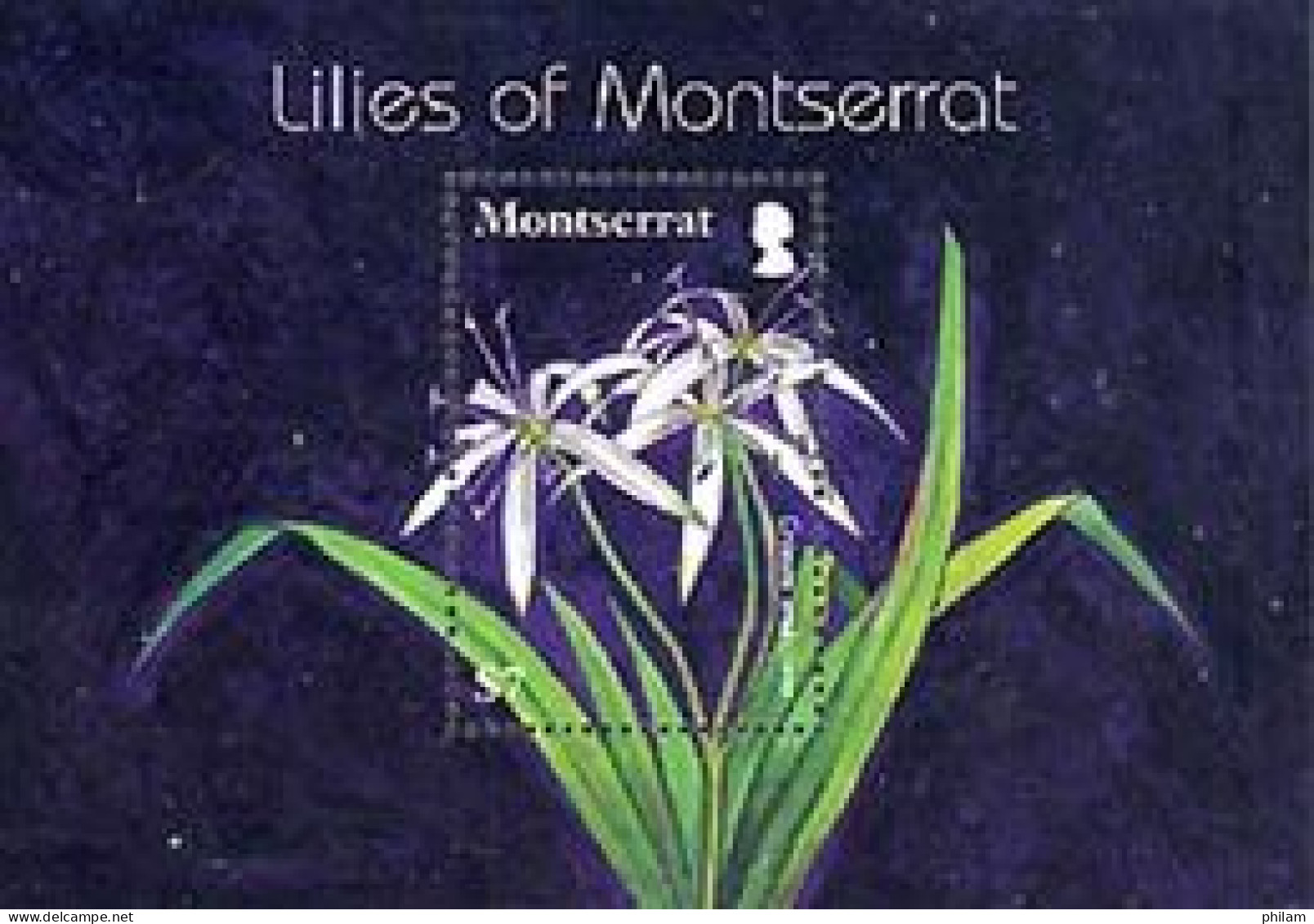 MONTSERRAT 2007 -  Lys De Montserrat - Bloc - Montserrat