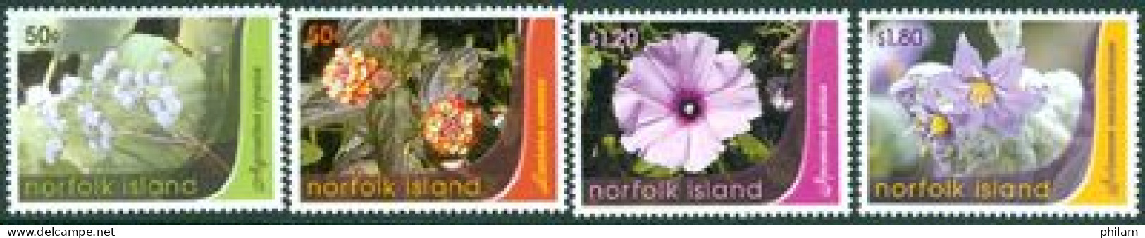 NORFOLK 2007 - Fleurs Sauvages - 4 V. - Altri & Non Classificati