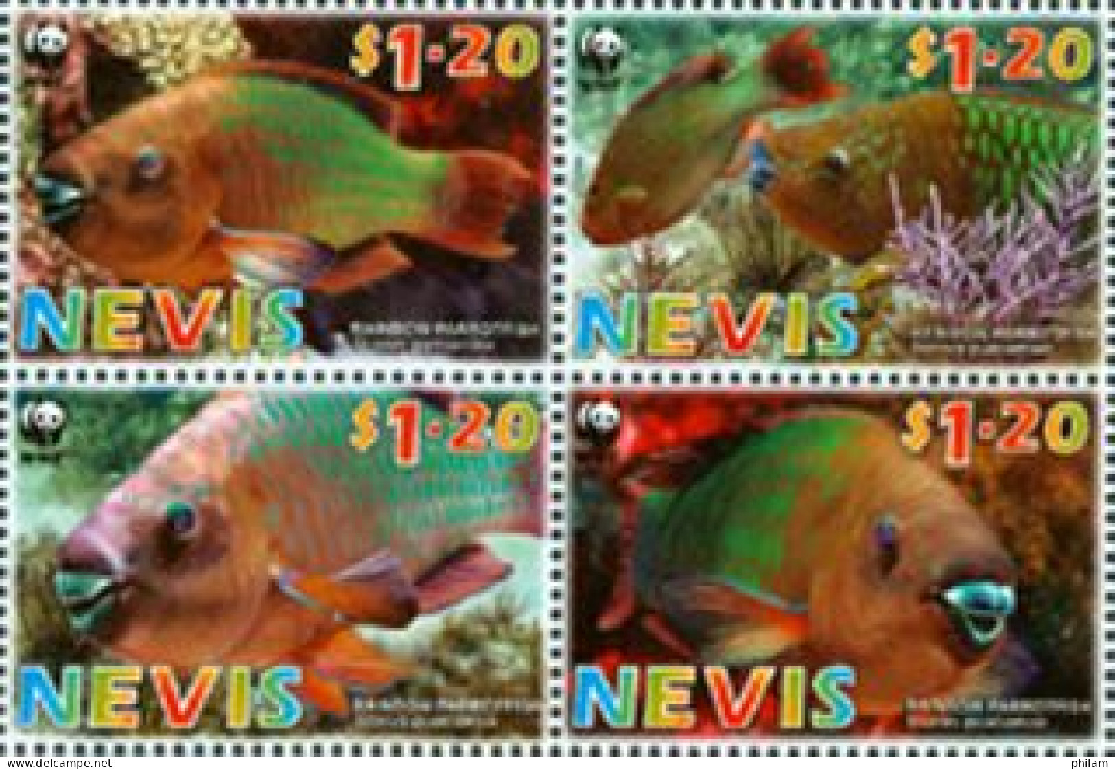 NEVIS 2007 - W.W.F. - Poisson (Rainbow Parrotfish) - 4 V. - Fishes