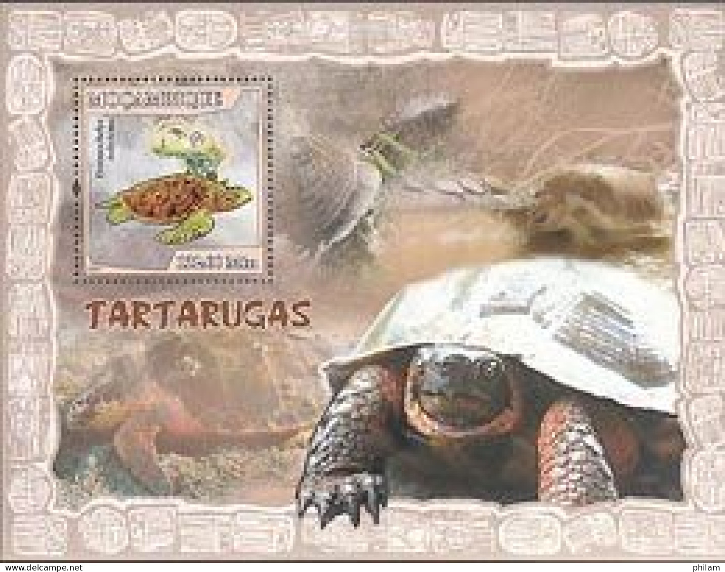 MOZAMBIQUE 2007 - Tortues - Bloc - Turtles