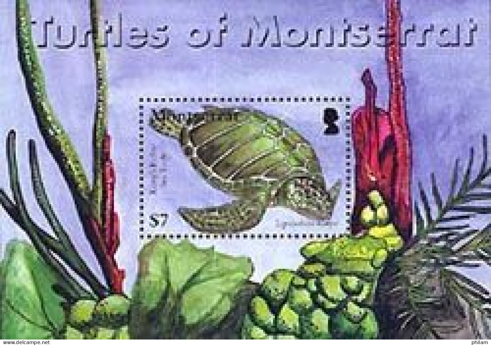 MONTSERRAT 2007 -  Tortues De Montserrat - BF - Schildkröten