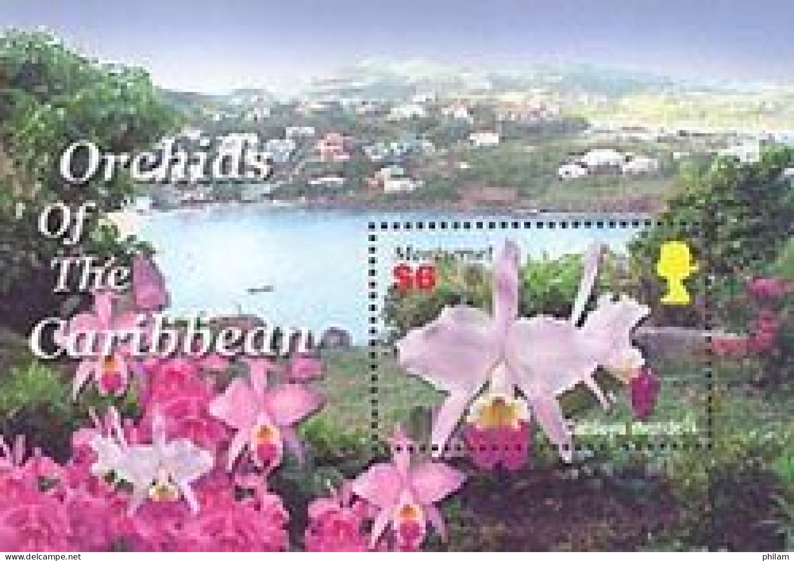 MONTSERRAT 2005 - Orchidées Des Caraïbes - Bloc - Cattleya Mendelli - Orchideeën