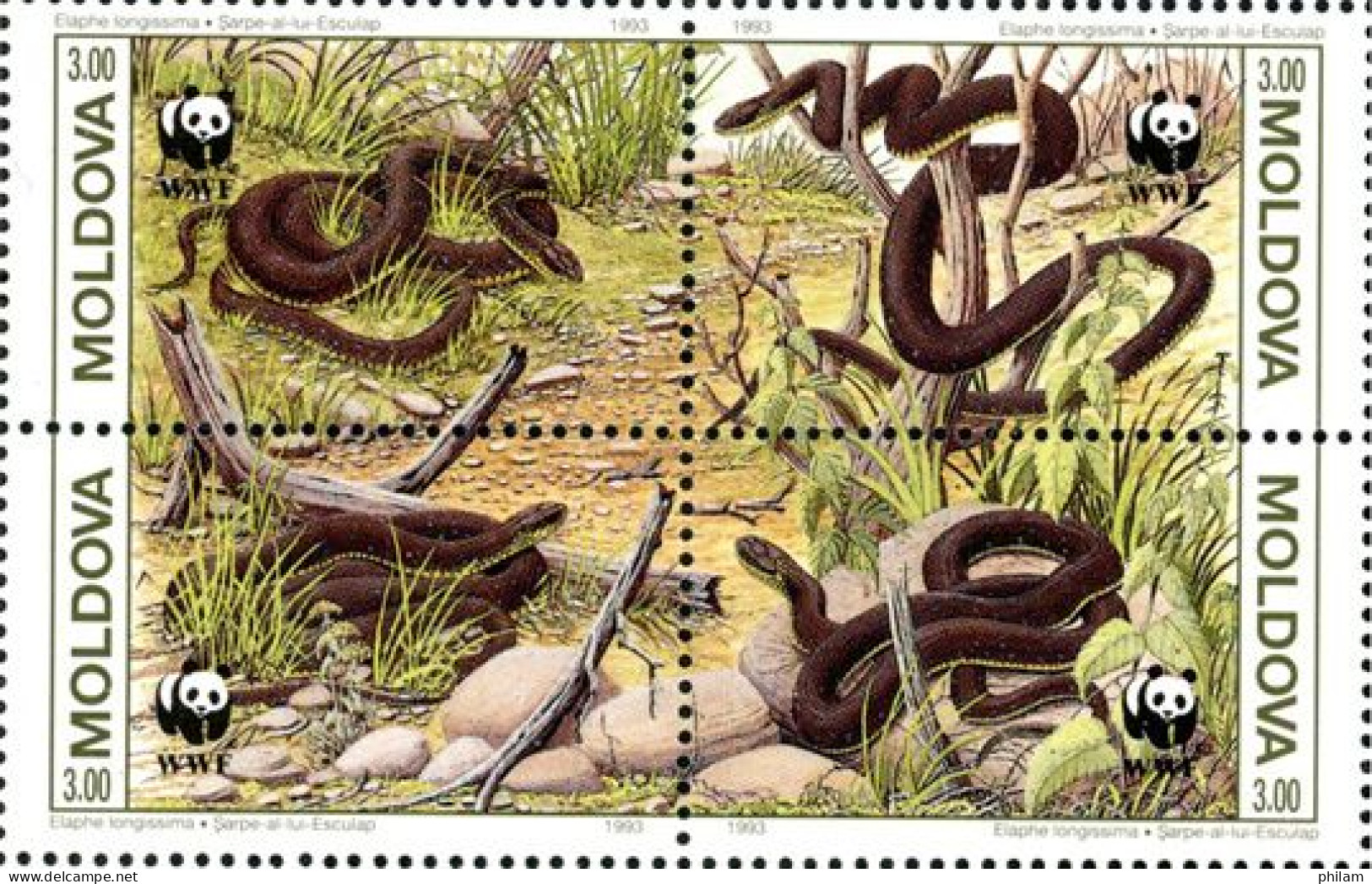 MOLDAVIE 1993 - W.W.F. - Serpents - 4 V. - Serpientes