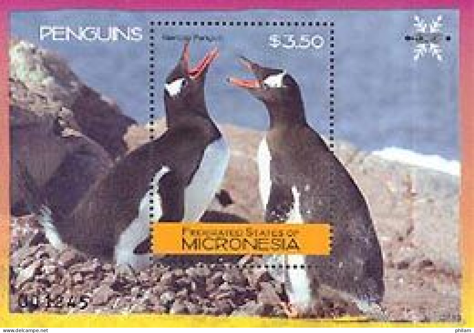 MICRONESIE 2007 - Pingouins Gentoo - BF - Pinguine