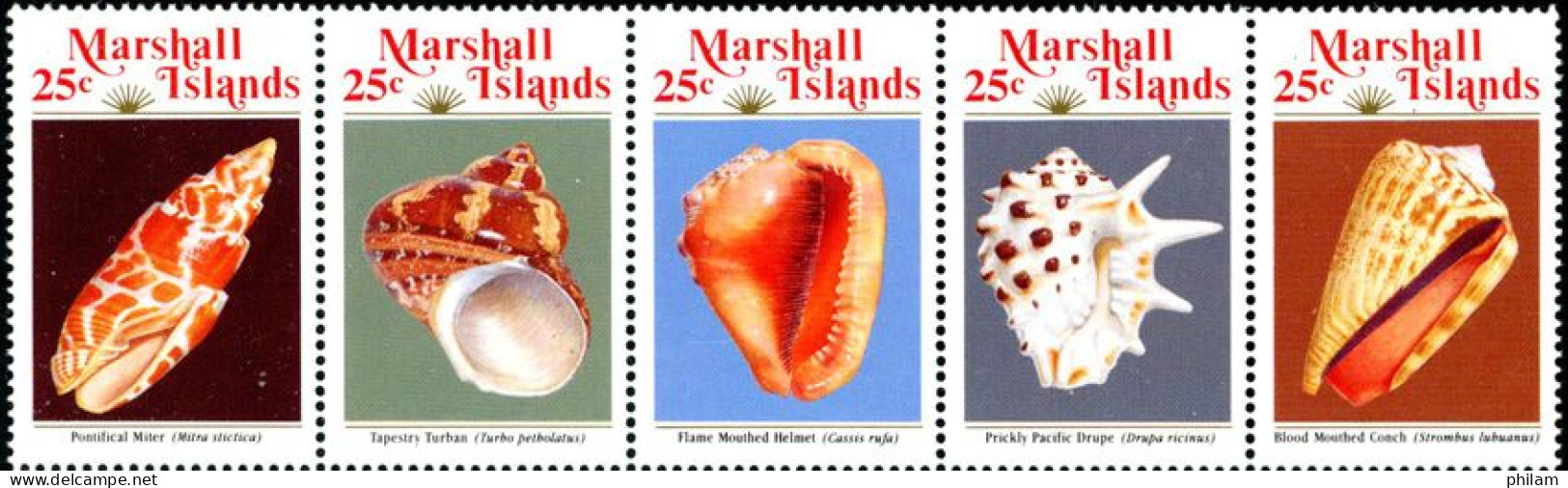 MARSHALL 1989 - Coquillages - 5 V.  - Muscheln