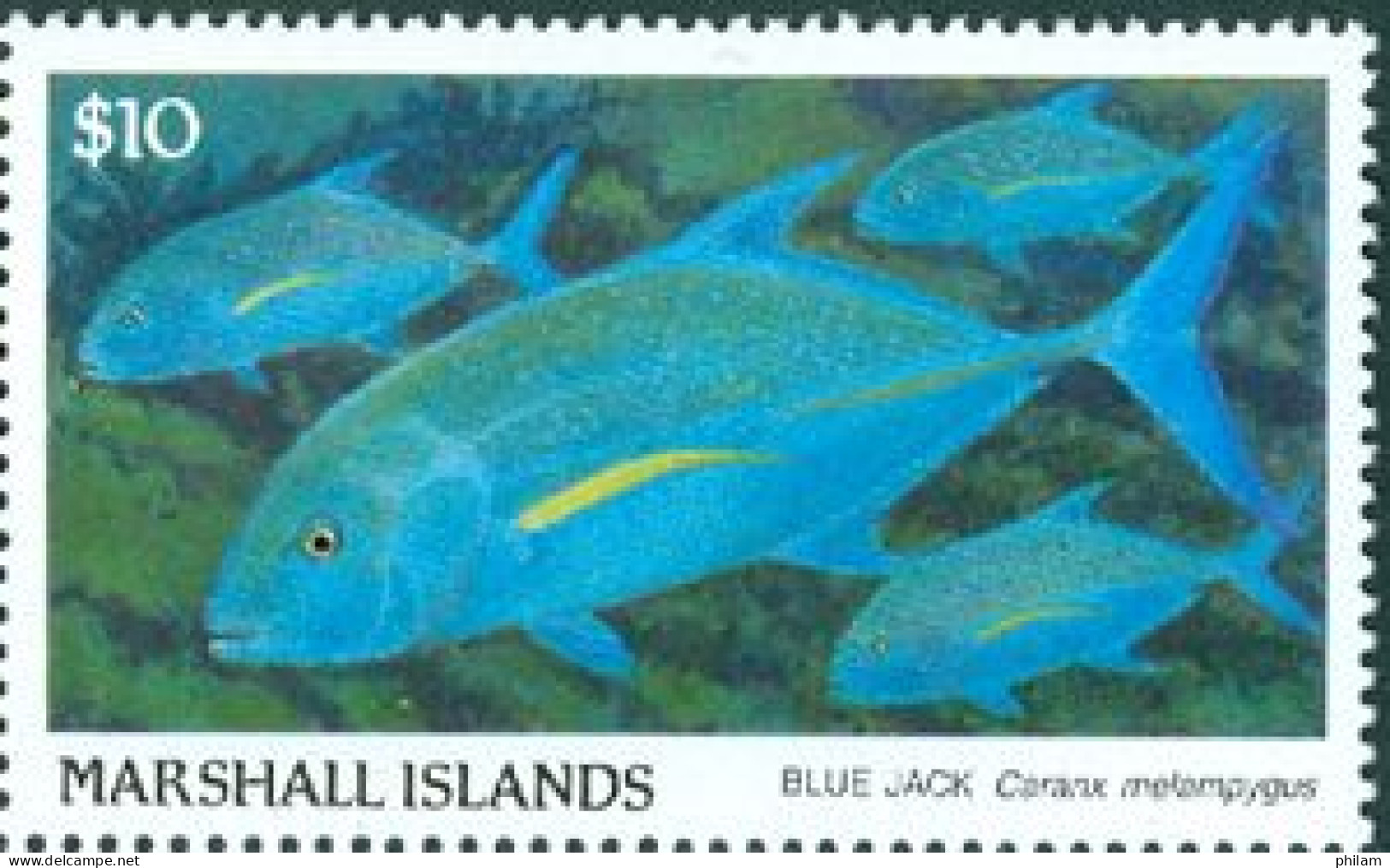 MARSHALL 1989 - Faune Marine - Poisson -  $ 10 - 1 V. - Fishes