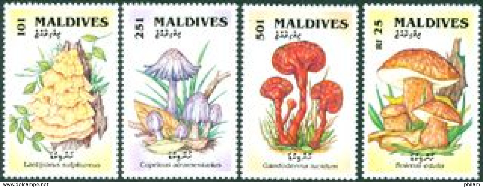MALDIVES 1992 - Champignons - (Laetiporus) - 4  V. - Maldivas (1965-...)