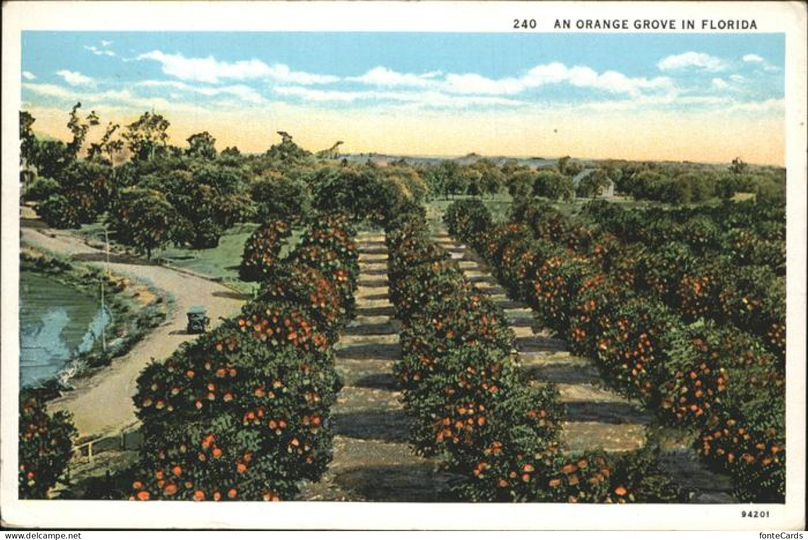 11321112 Orange Groves  USA - Andere & Zonder Classificatie