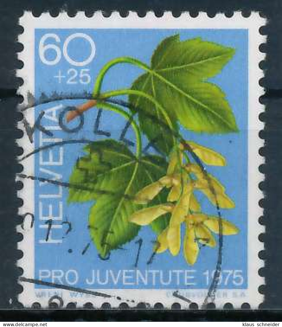 SCHWEIZ PRO JUVENTUTE Nr 1066 Gestempelt X6AA24A - Used Stamps