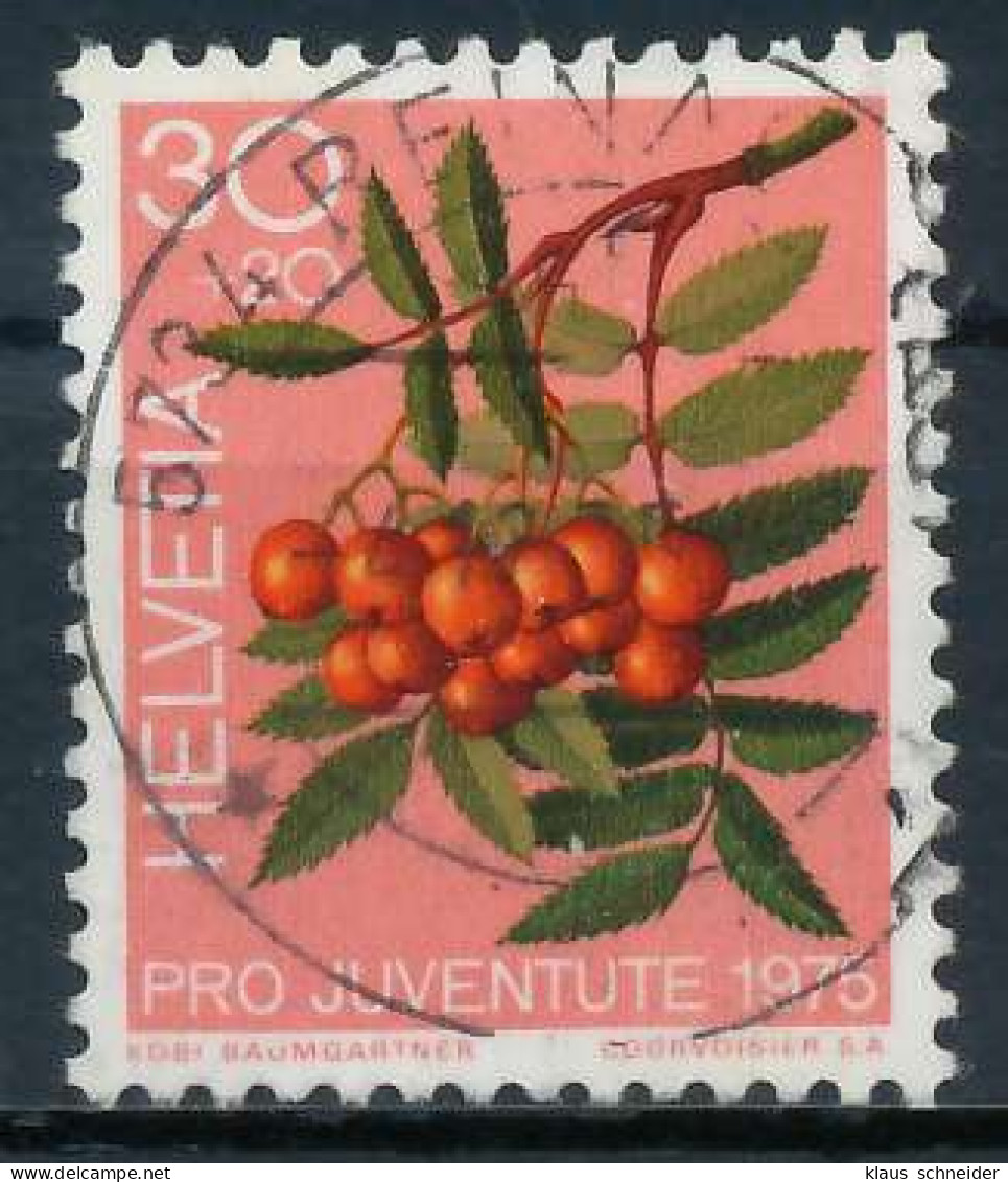 SCHWEIZ PRO JUVENTUTE Nr 1064 Zentrisch Gestempelt X6AA246 - Used Stamps