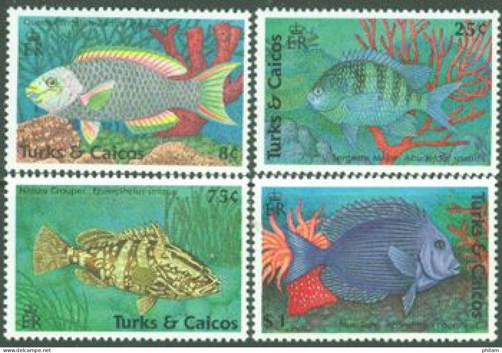 TURKS & CAICOS 1990 - Poissons I - 4 V. (scarus Verula) - Fishes