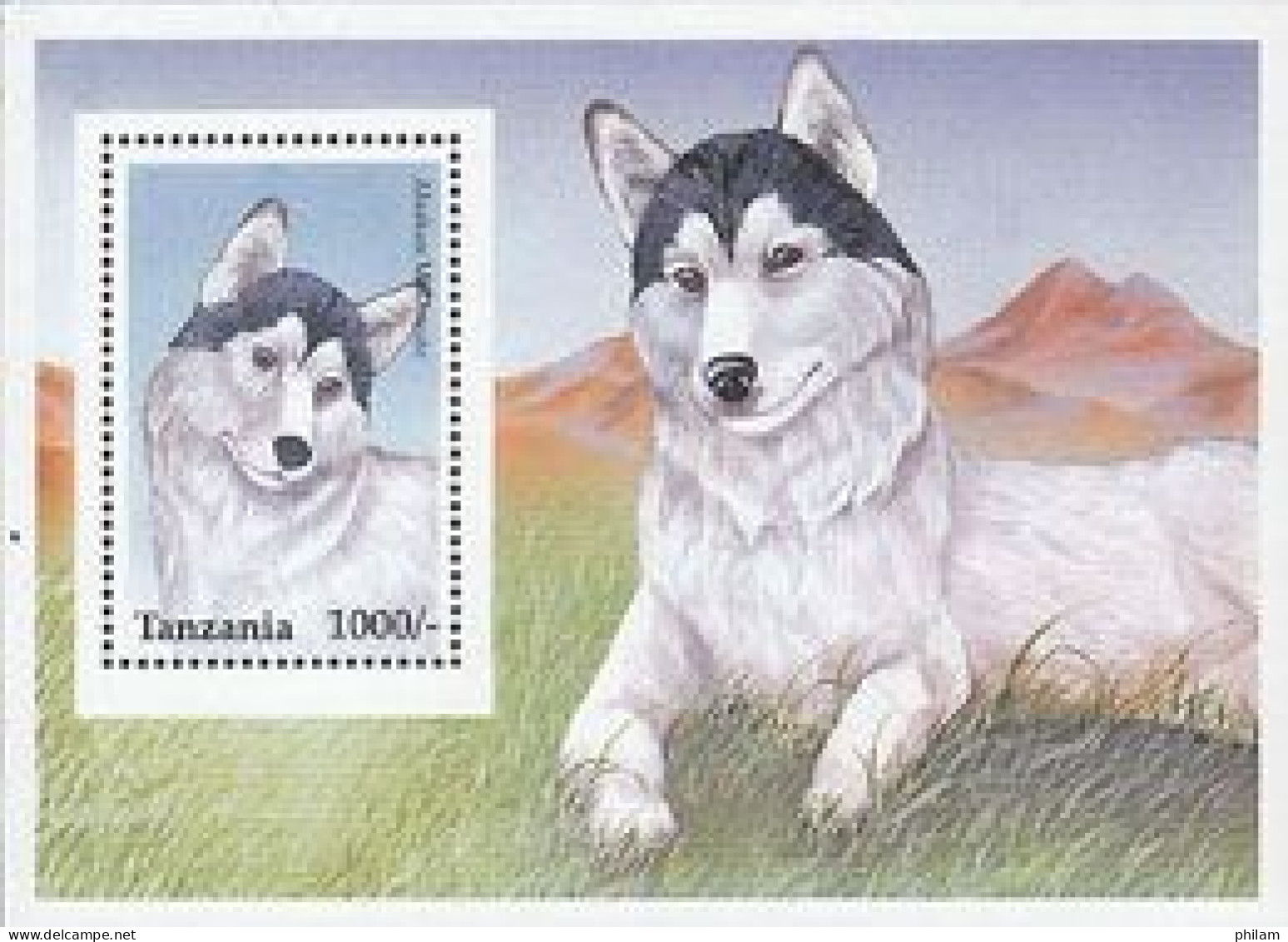 TANZANIE 1996 - Chiens - Alaskan Malamute - BF - Honden