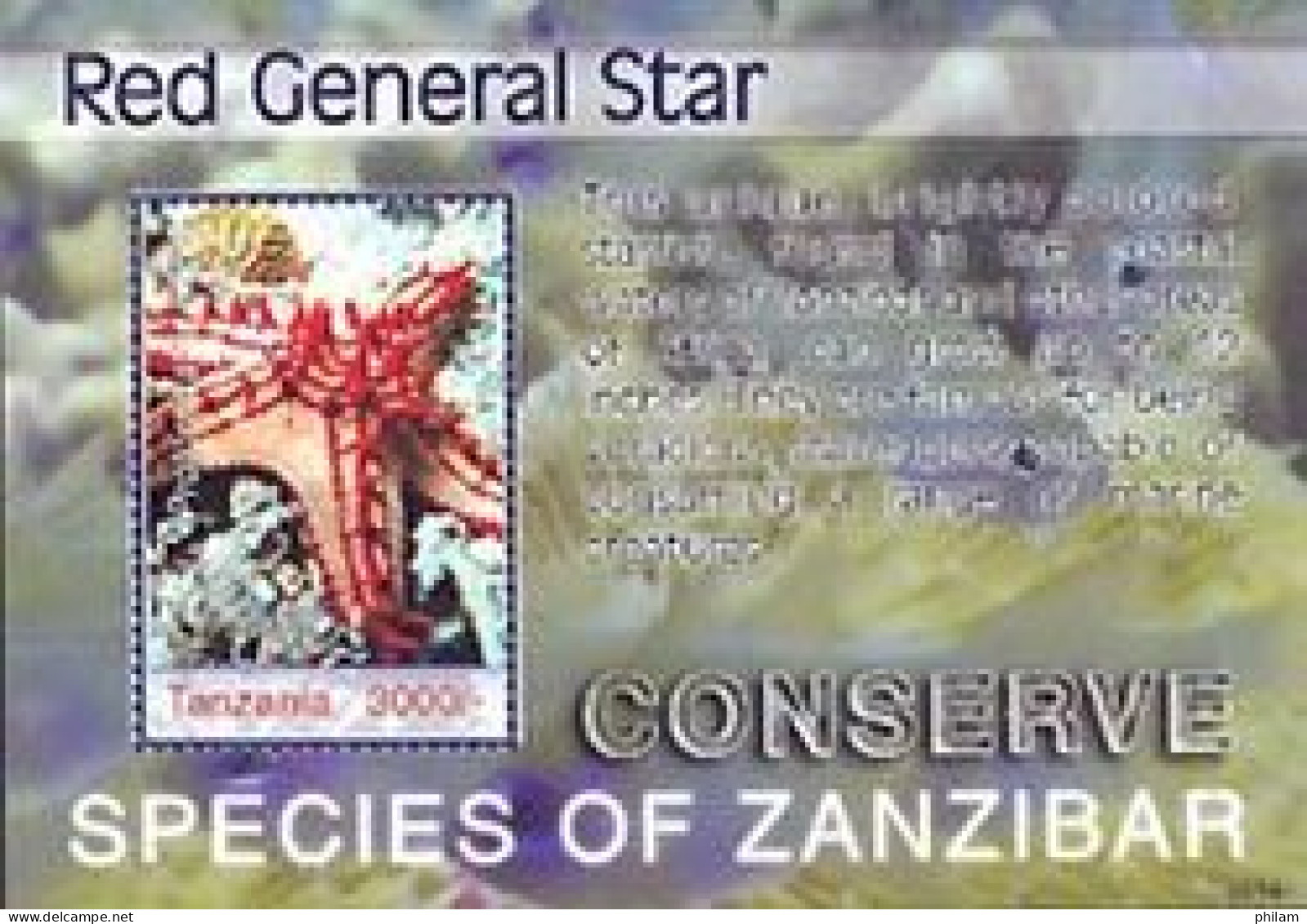 TANZANIA 2006 - Espèces De Zanzibar - étoile De Mer Red General Star - Bloc - Meereswelt