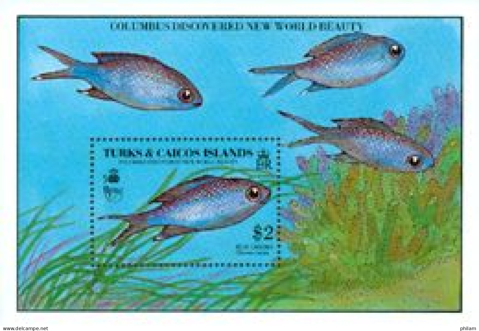 TURKS & CAICOS 1990 - UPAEP - Poissons IV- Chromis Cyanea  - Fishes