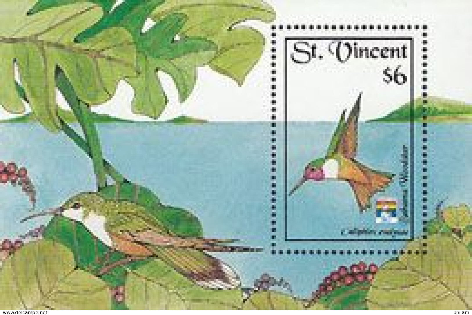 ST VINCENT 1992 - Genova - Oiseaux-mouche - BF 2 - Calliphlox Evelynae - Colibris
