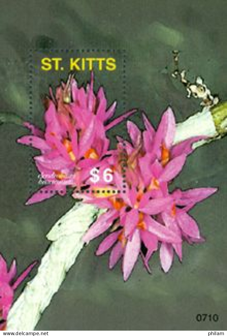 ST. KITTS 2007 - Orchidées - Dendrobum Bractesium - Bloc - Orchids
