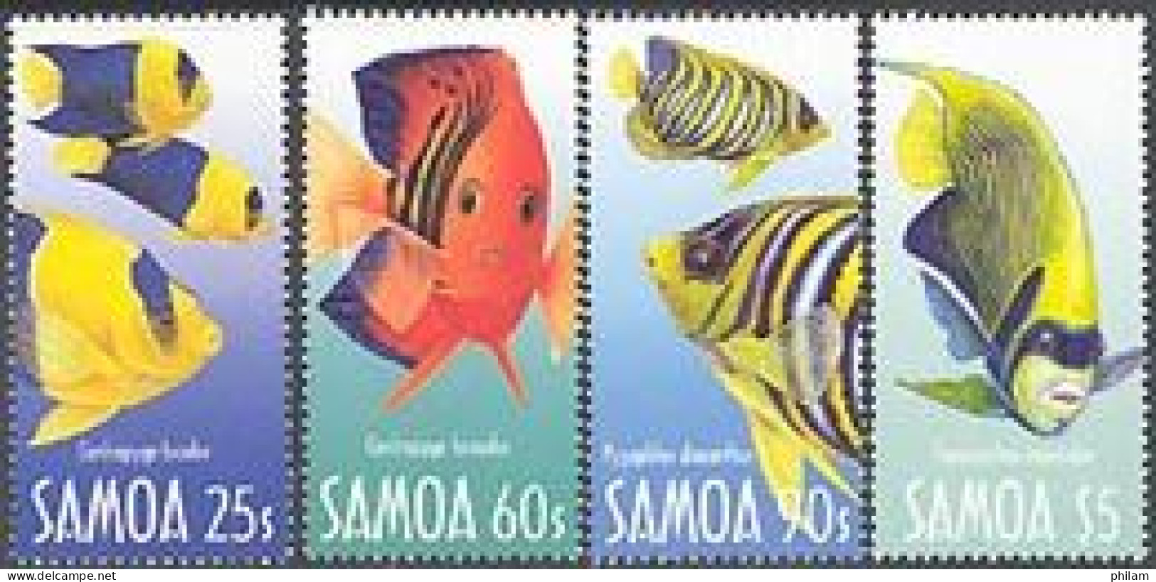 SAMOA 2003 - Poissons-ange - 4 V. - Fische