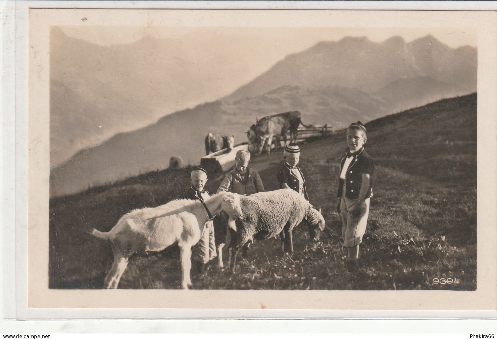 AUF DER ALP - Sonstige & Ohne Zuordnung