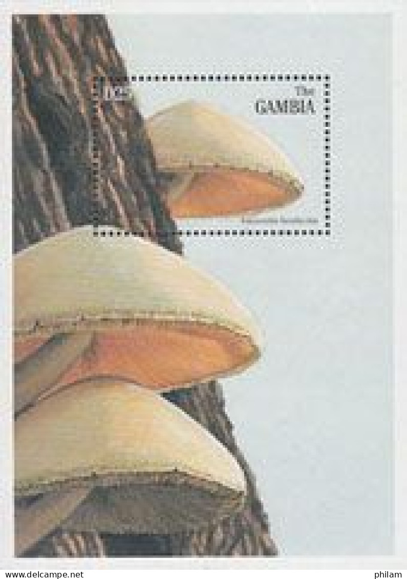 GAMBIE 1997 - Champignons - Volvariella Bombycina - BF - Champignons