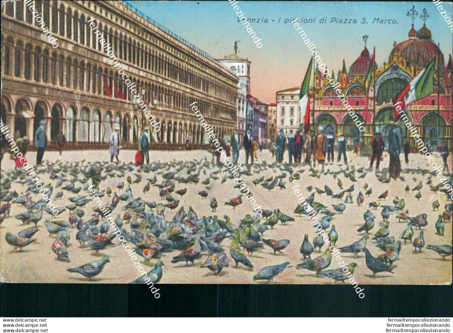 Bt346 Cartolina   Venezia Citta'   I Piccioni Di Piazza S.marco Veneto - Venezia