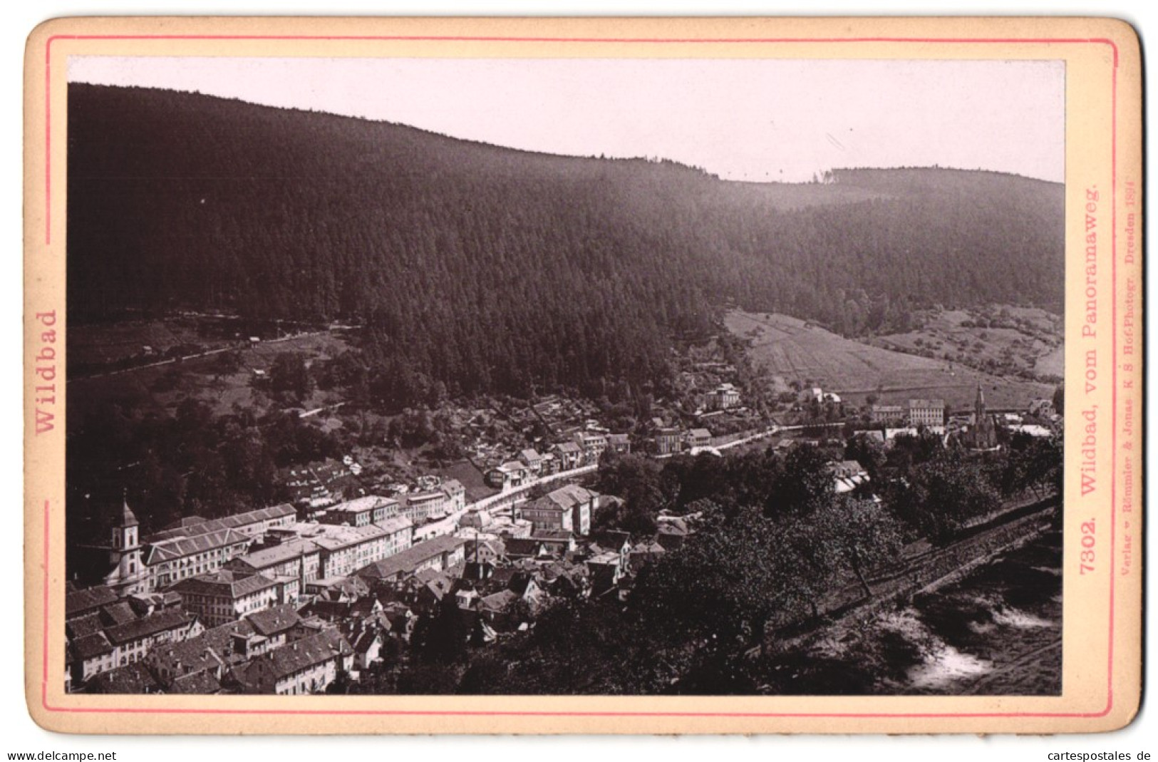 Fotografie Römmler & Jonas, Dresden, Ansicht Wildbad, Ortsansicht Vom Panoramaweg  - Lugares