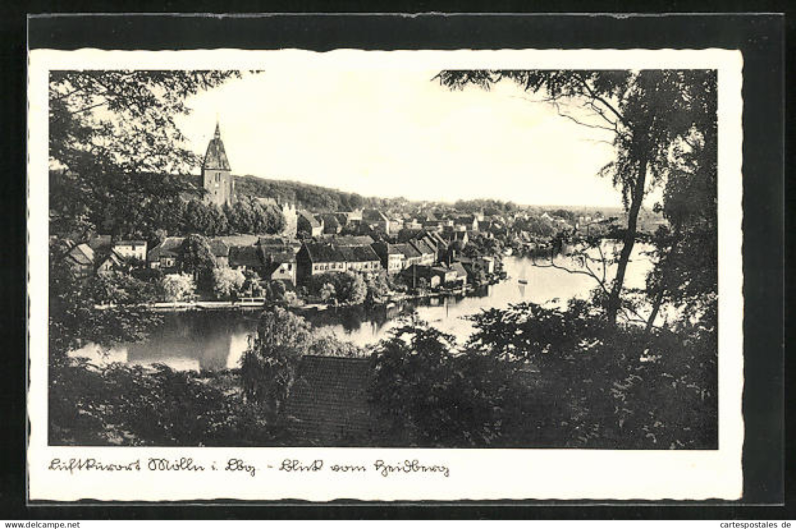 AK Mölln I. Lbg., Blick Vom Heidberg Auf Den Ort  - Mölln