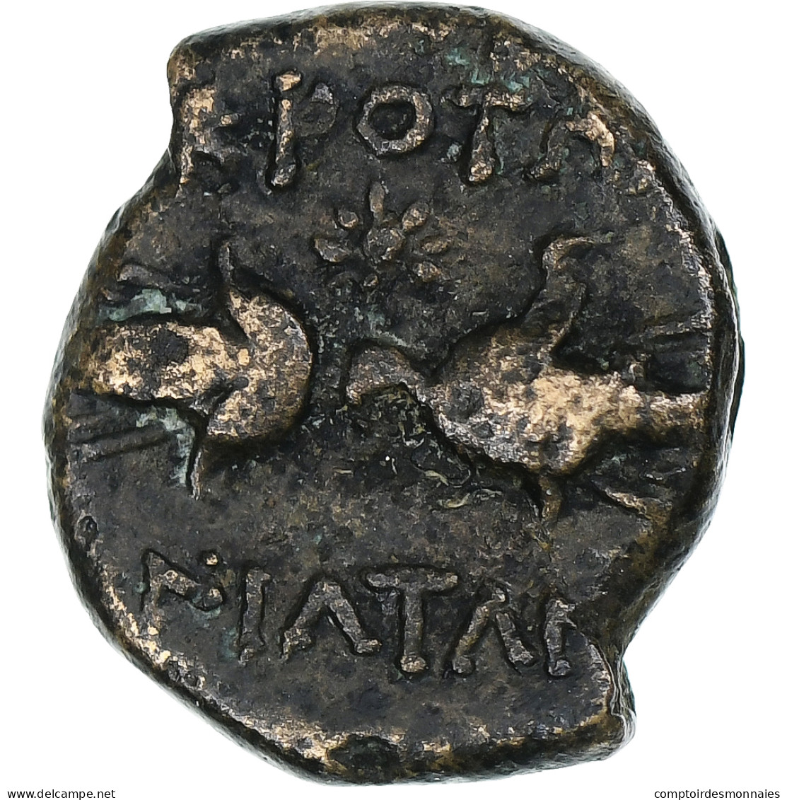 Bruttium, Bronze Æ, Croton, Bronze, TB+ - Greek