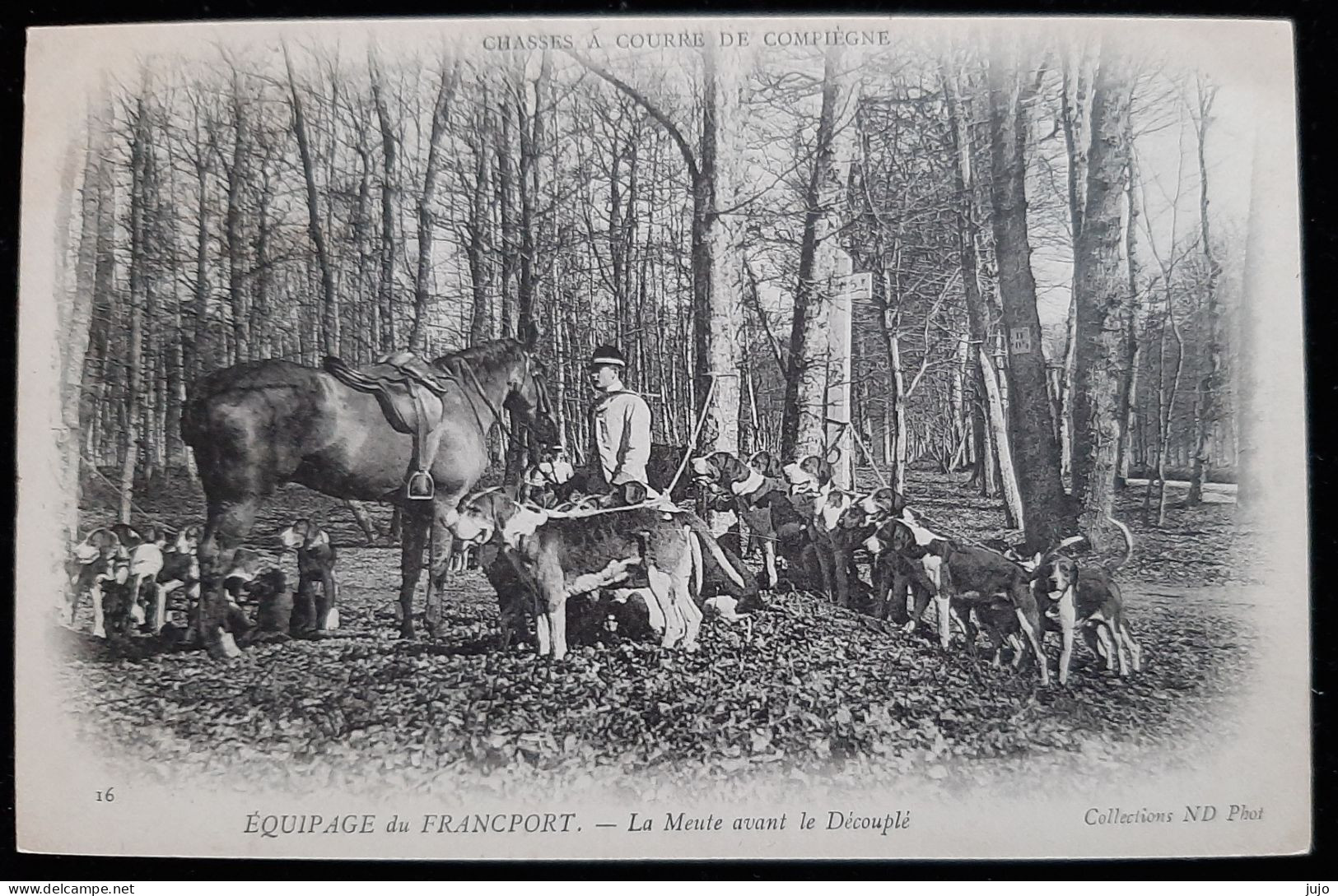 CHASSE A COURRE DE COMPIEGNE - EQUIPAGE Du FRANCPORT - La Meute Avant Le Découplé - Jacht