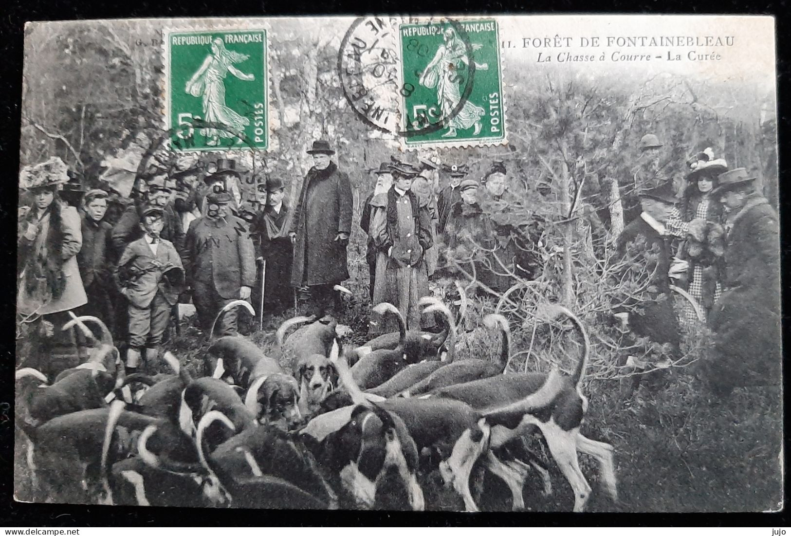 77 - FORET  DE  FONTAINEBLEAU - La Chasse à Courre - La Curée - Fontainebleau