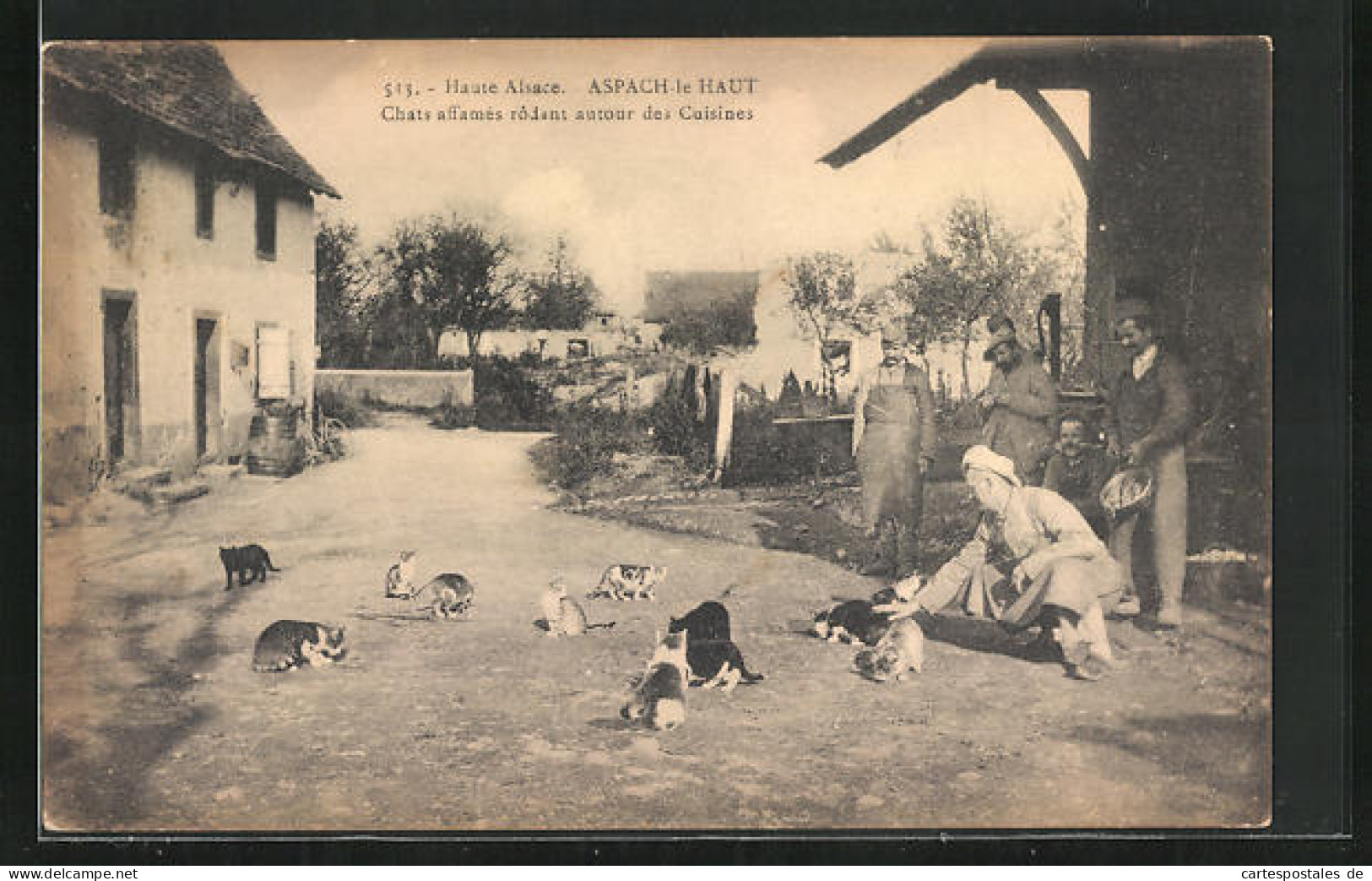 CPA Aspach-le Haut, Chats Affamés Rodant Autour Des Cuisines  - Autres & Non Classés