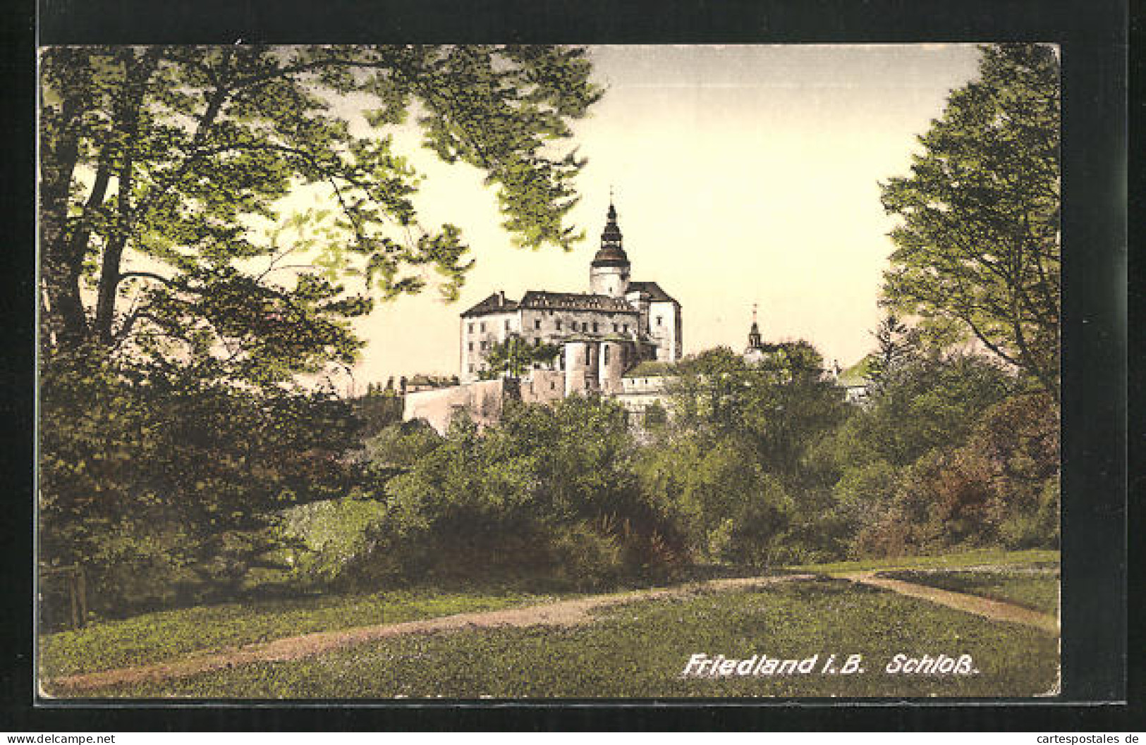 AK Friedland / Frydlant, Blick Auf Schloss Aus Wald Heraus  - Czech Republic