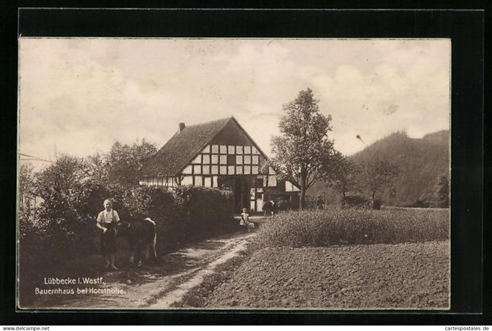 AK Lübbecke In Westfalen, Bauernhaus Bei Horsthöhe  - Lübbecke