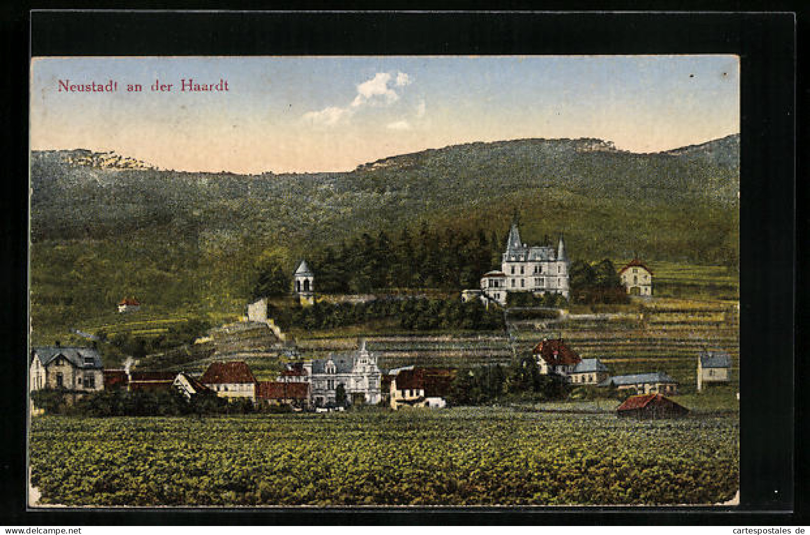 AK Neustadt A. D. Haardt, Ortsansicht Aus Der Vogelschau  - Neustadt (Weinstr.)