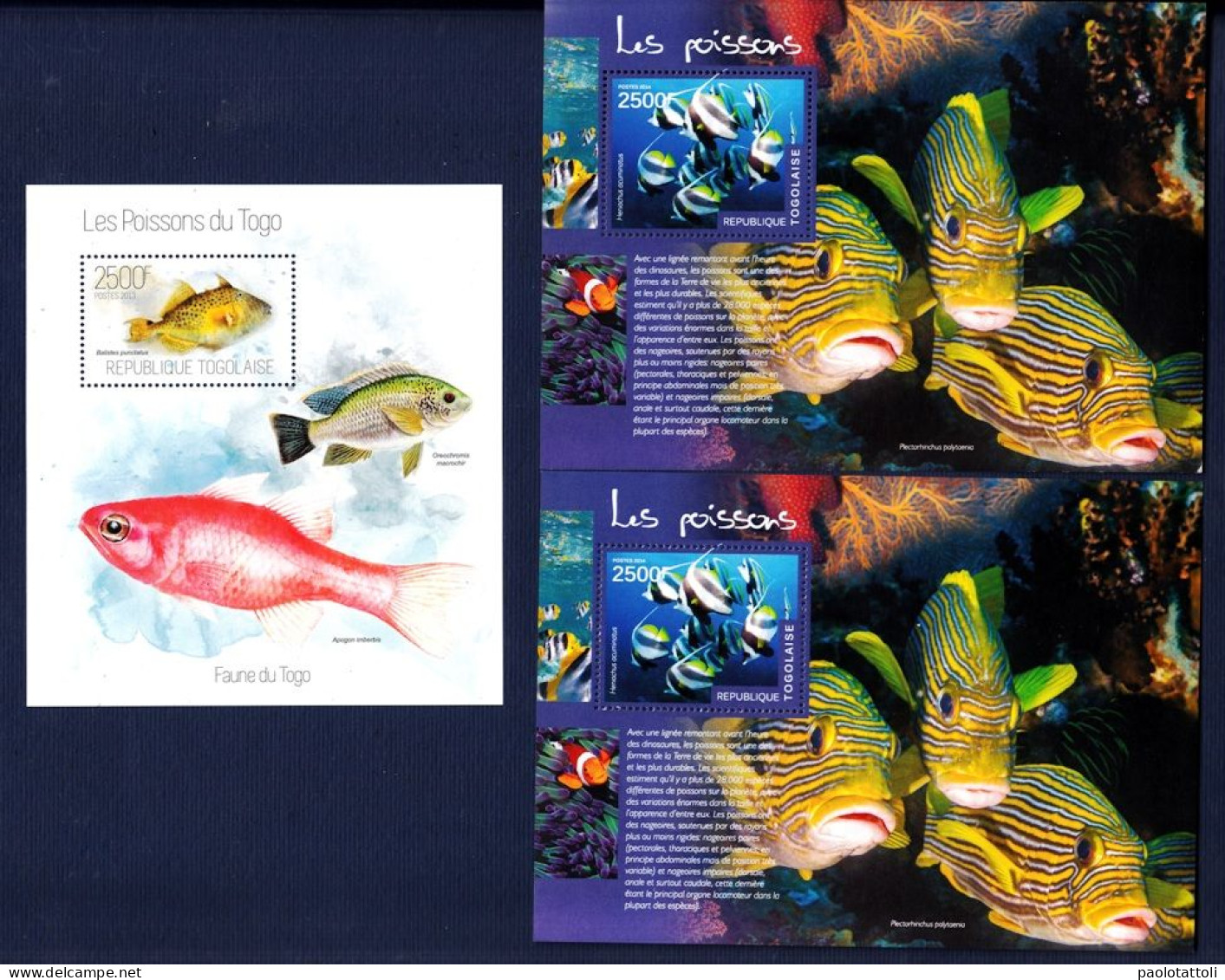 Togo,2013 & 2014- Fishes, Pesci.  Three Blocks New NH . - Fishes