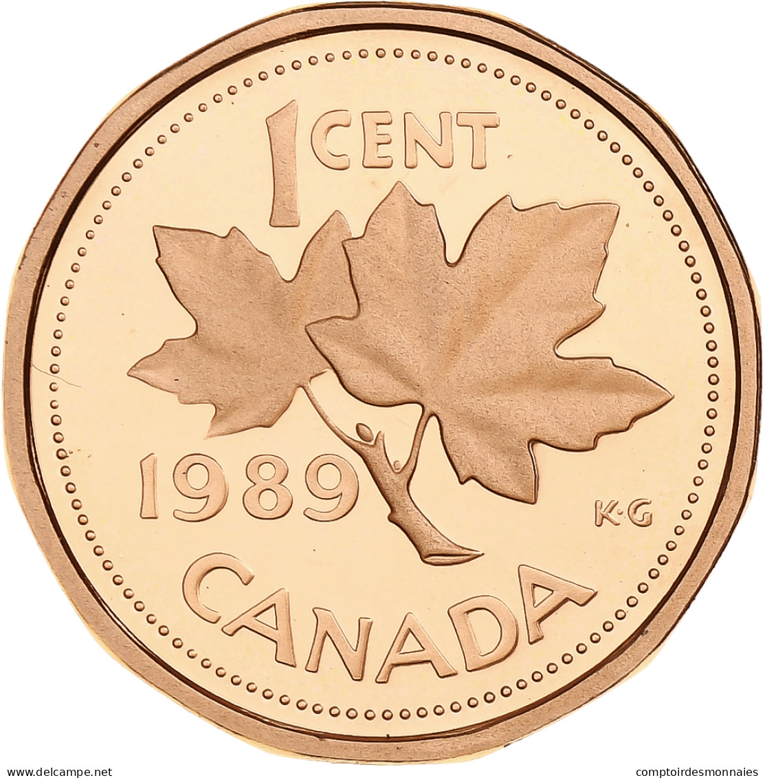 Canada, Elizabeth II, Cent, 1989, Ottawa, BE, Bronze, FDC, KM:132 - Canada