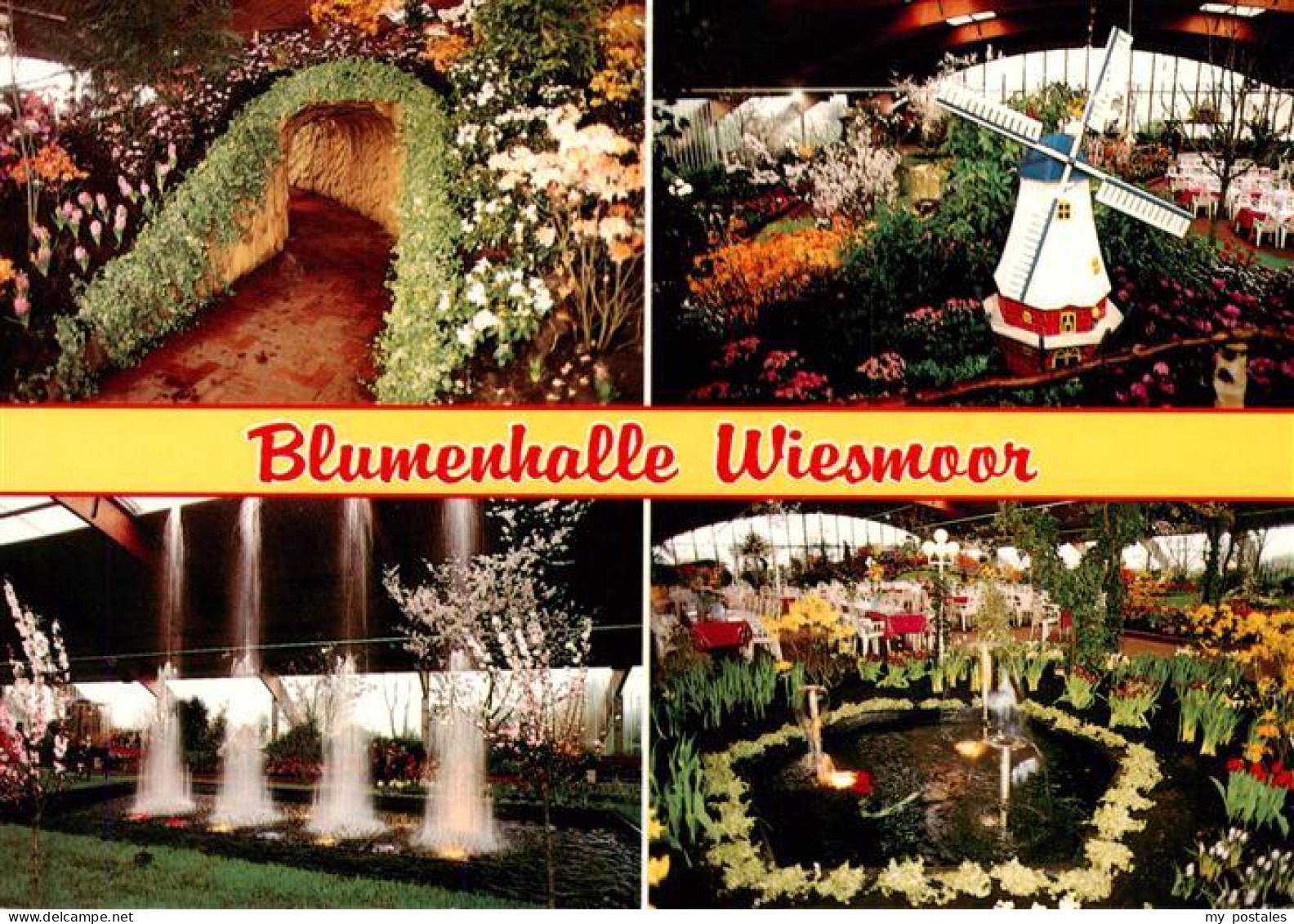 73945096 Wiesmoor Blumenhalle - Wiesmoor
