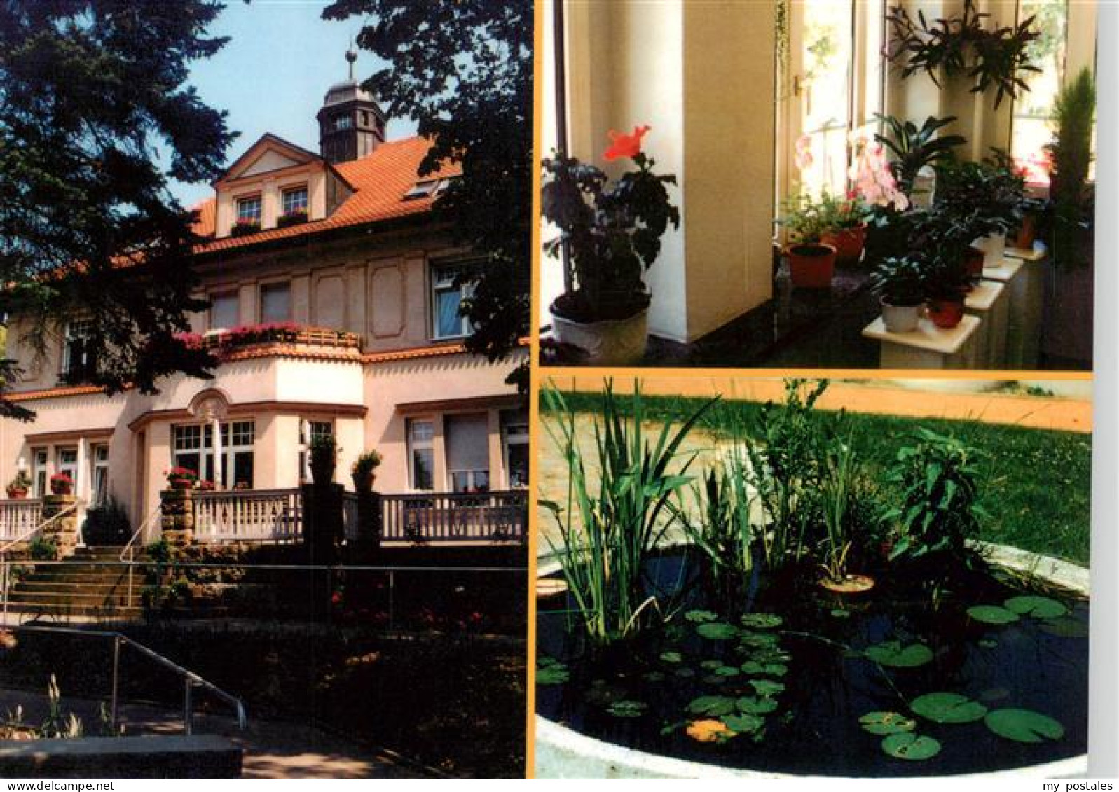 73945066 Radeberg_Sachsen Haus Storchennest Teichrosen - Sonstige & Ohne Zuordnung