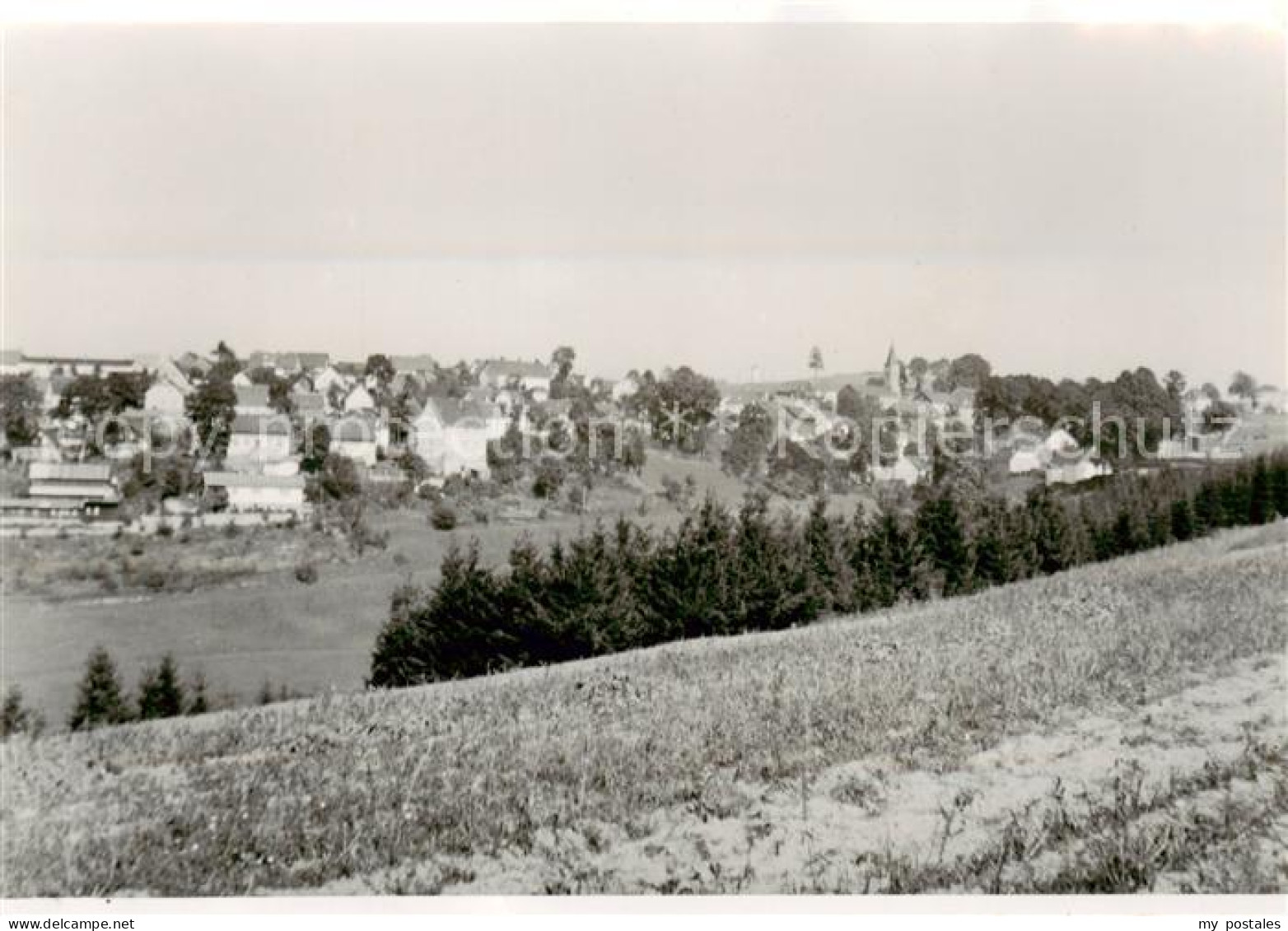 73865121 Bernstein Wald Panorama Verlagsstempel Bernstein Wald - Autres & Non Classés