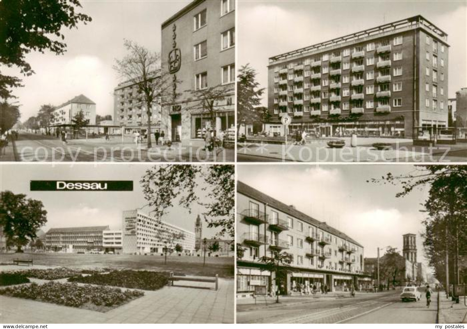 73865025 Dessau-Rosslau Wilhelm Pieck Strasse Dessau-Rosslau - Dessau