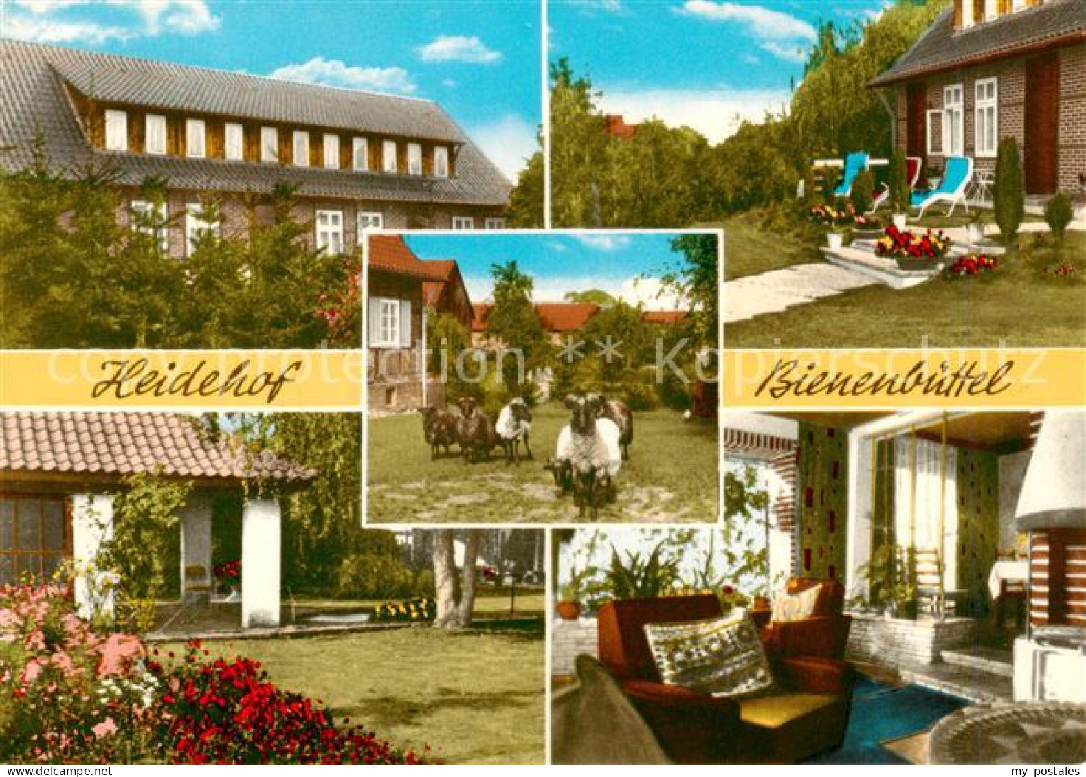 73864992 Bienenbuettel Privatpension Heidehof Garten Heidschnucken Kaminzimmer B - Otros & Sin Clasificación