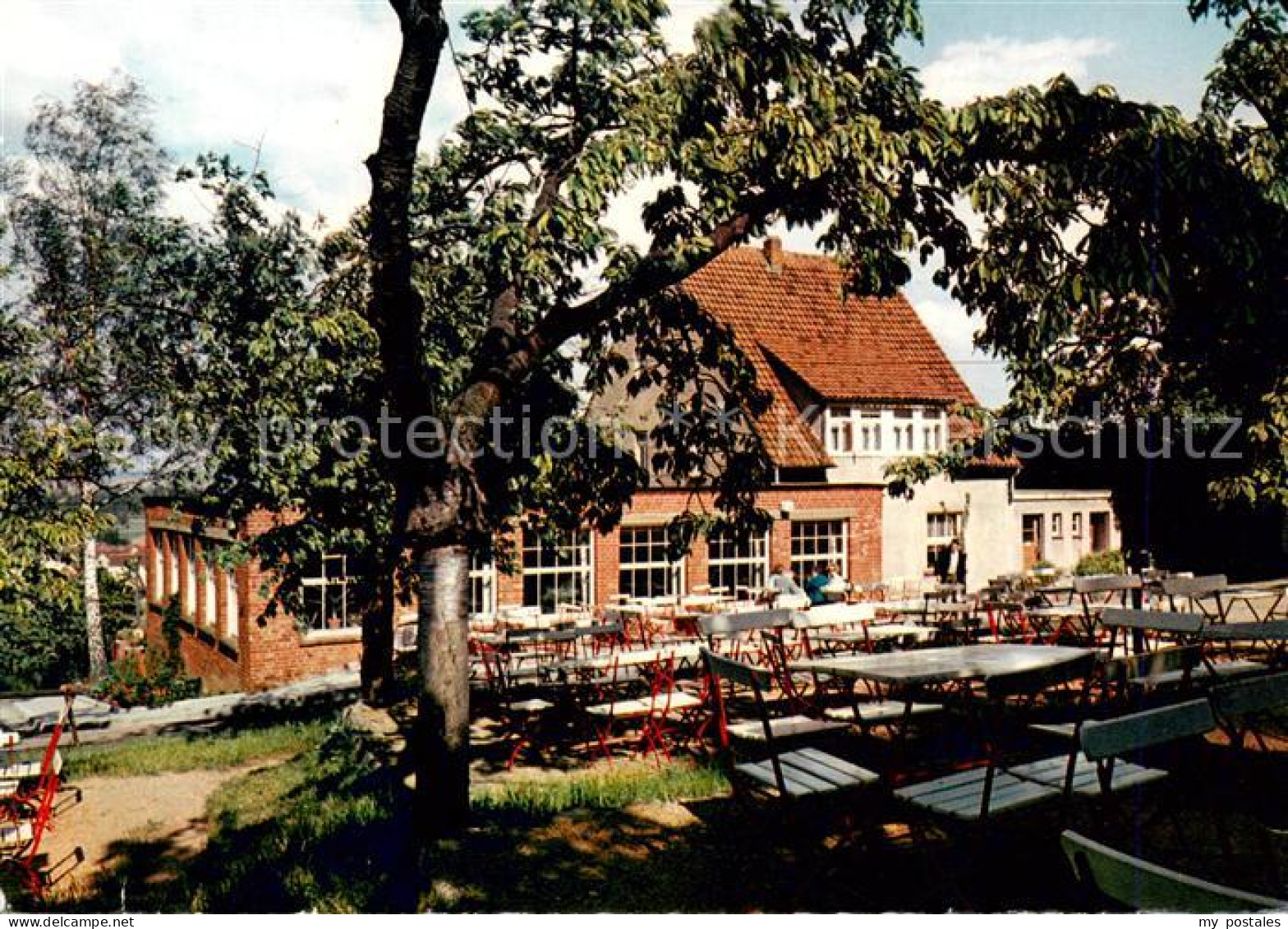 73864958 Esbeck Helmstedt Gasthof Waldfrieden Am Elm Freiterrasse Esbeck Helmste - Altri & Non Classificati