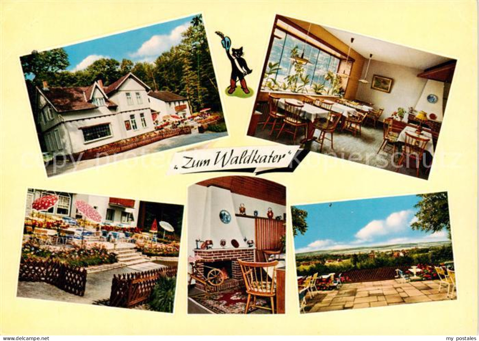 73864947 Rinteln Weser Gasthaus Zum Waldkater Gastraeume Terrasse  - Rinteln