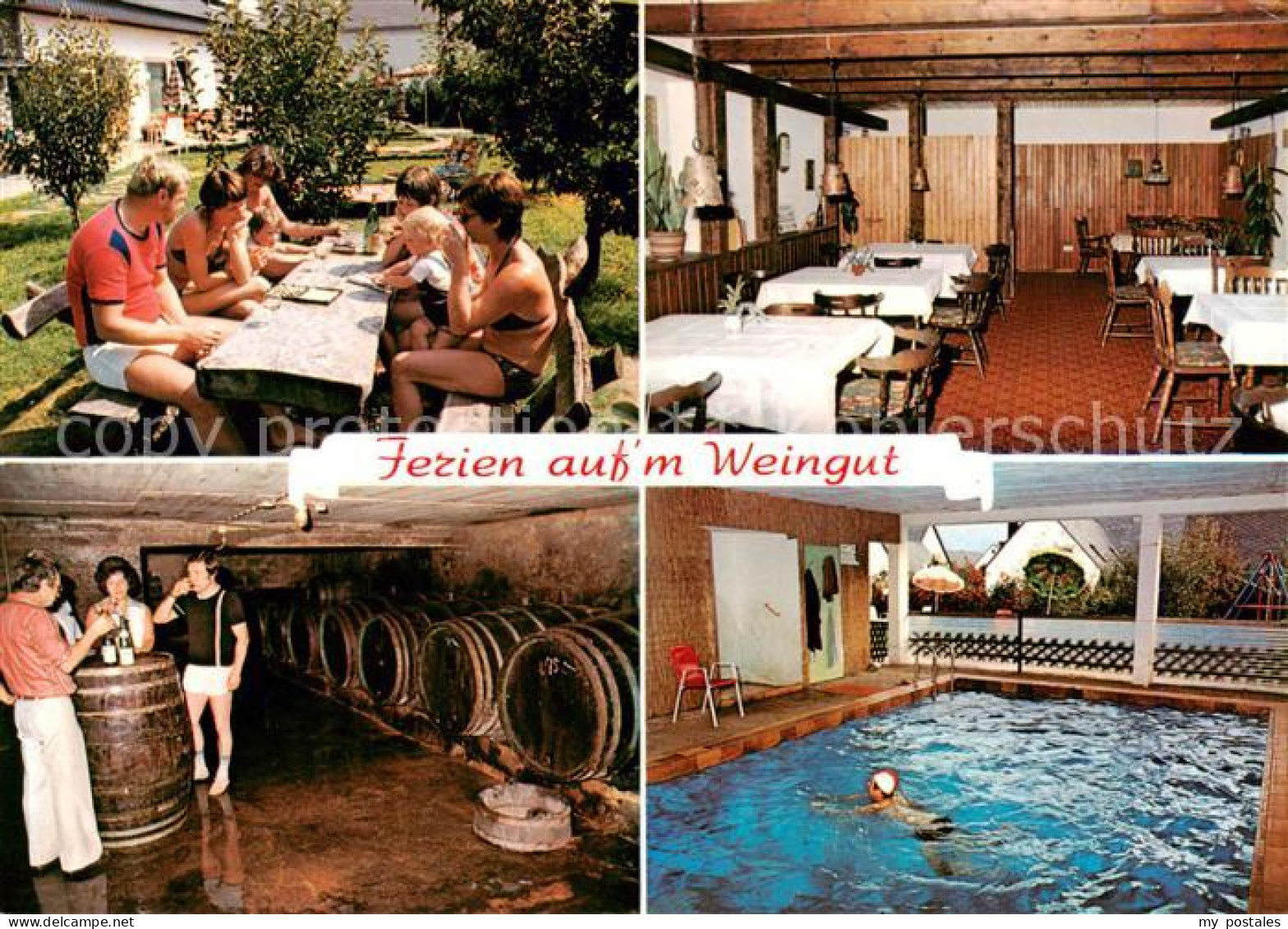 73864892 Leiwen Mosel Pension Leew Wiesengrund Gastraum Terrasse Weinkeller Hall - Andere & Zonder Classificatie