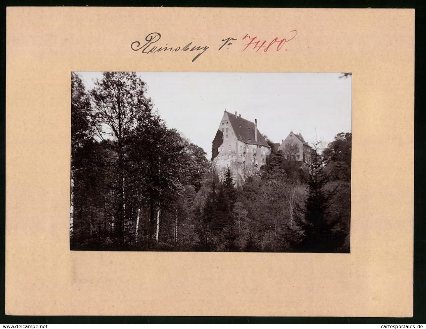 Fotografie Brück & Sohn Meissen, Ansicht Oberreinsberg I. Sa., Blick Auf Das Schloss Oberreinsberg  - Lugares